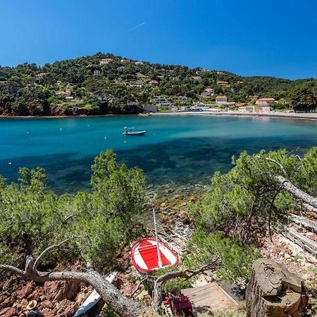 Appartement "Le Fabregas" 4 Pers Vue Mer ลาแซน-ซูร์-แมร์ ภายนอก รูปภาพ