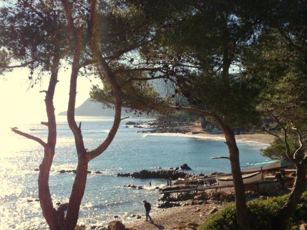 Appartement "Le Fabregas" 4 Pers Vue Mer ลาแซน-ซูร์-แมร์ ภายนอก รูปภาพ