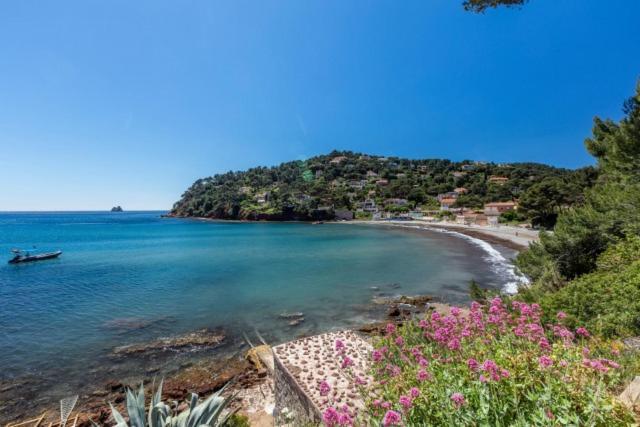 Appartement "Le Fabregas" 4 Pers Vue Mer ลาแซน-ซูร์-แมร์ ภายนอก รูปภาพ